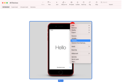 Configurator device manager screen