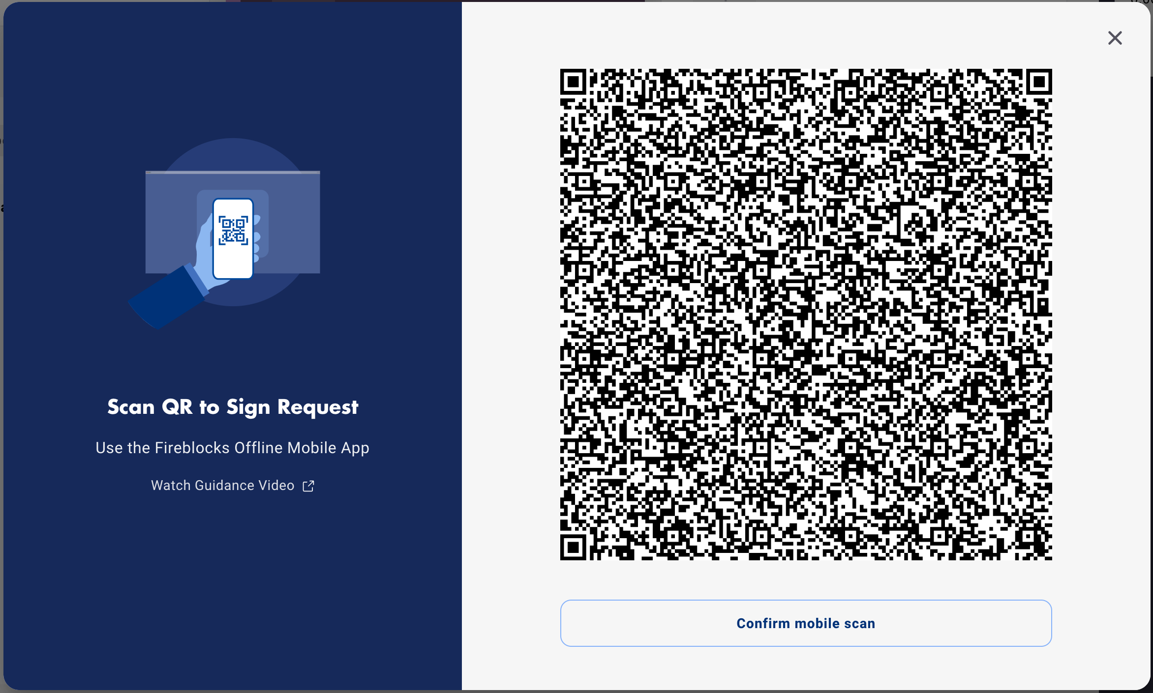 Cold Wallet QR animation signing dialog